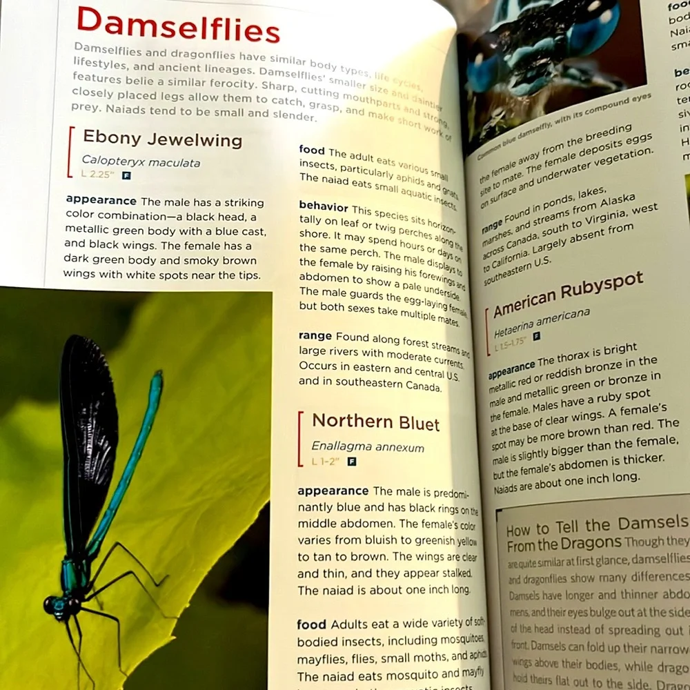 National Geographic Field Guide to the Water's Edge Hardcover Book EXC - Picture 8 of 16